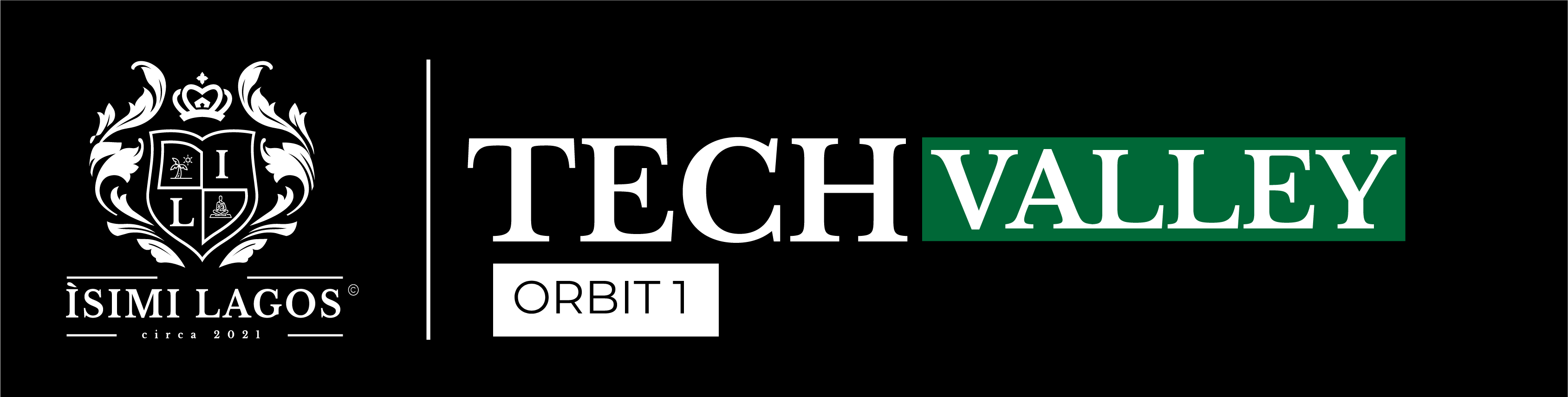 TECHVALLEYy (1)